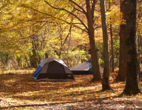 Best Brands of Camping Tents