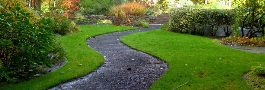 Perfect Ways That Can Lead You To Install Artificial Grass Like An Expert