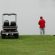 Tips On How To Make Your Electric Golf Cart Run Faster On Greens!