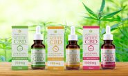 Your pro guide to shop CBD oil online