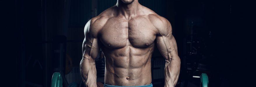 What Are Various Supplements For Increasing Muscle Growth?
