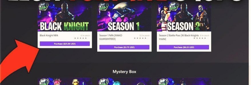 Where To Buy Fortnite Accounts Without Getting Scammed?